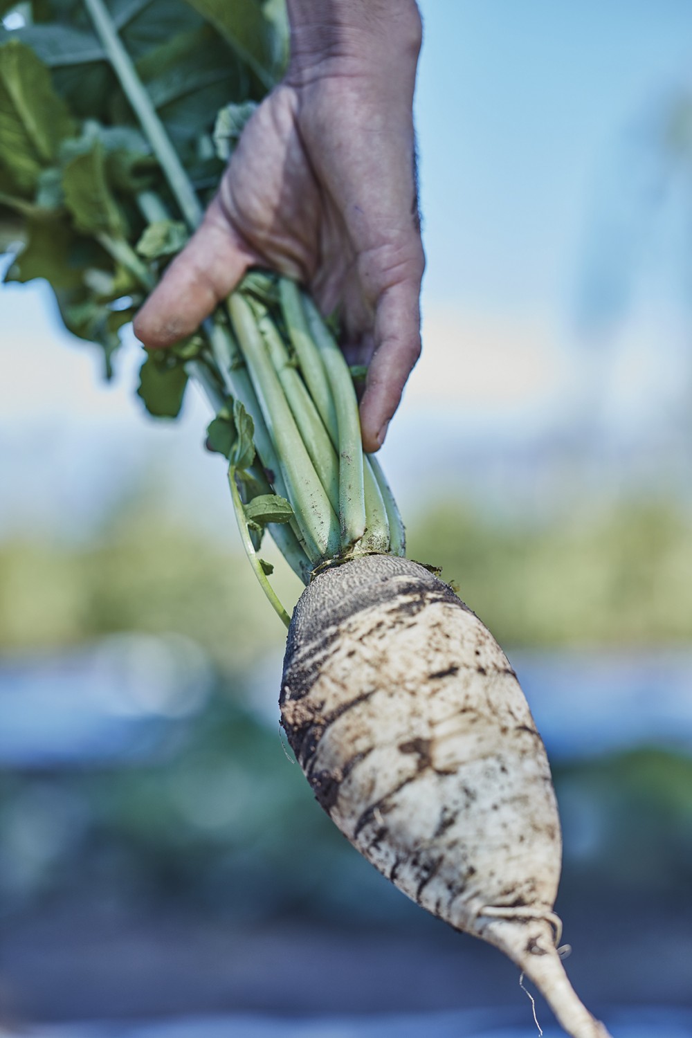 Ruca Malen huerta image